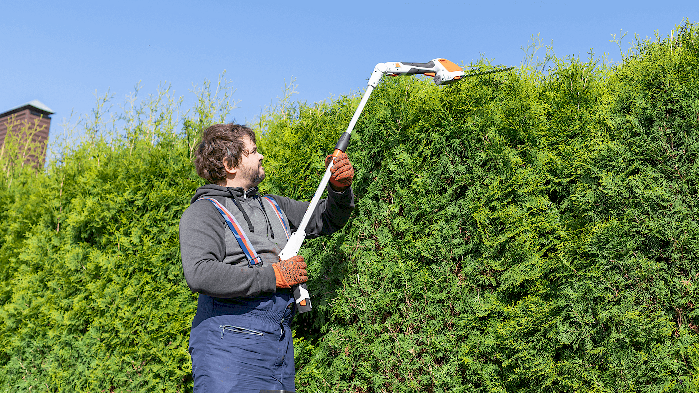Bush cutting - Request A Quote