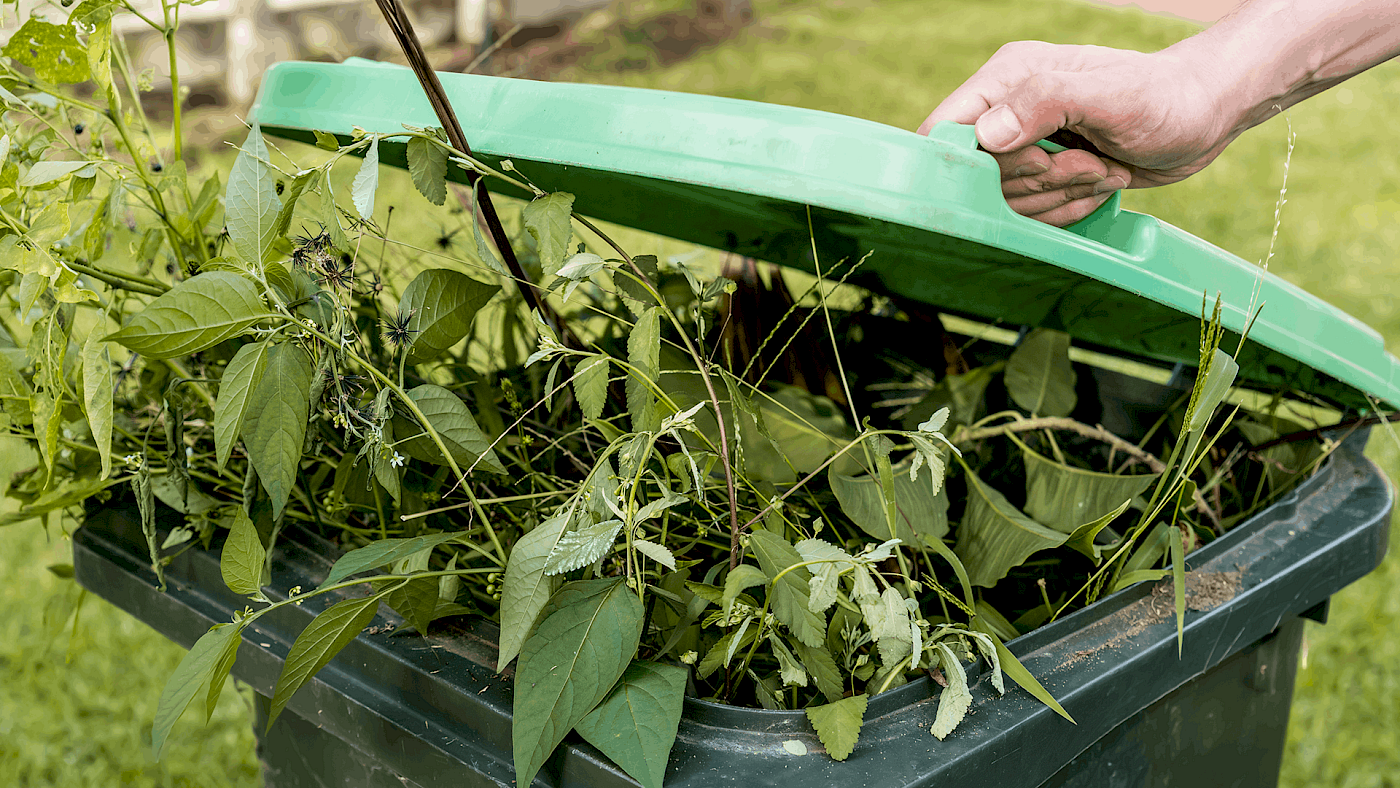 Garden waste removal and site clearance - request a quote